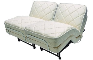 flex a bed budget construction company, , Flex-A-Bed: The best choice for an at-home healthcare bed